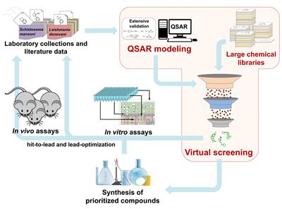 Frontiers | QSAR-Based Virtual Screening: Advances And Applications In ...